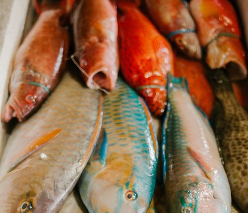 海鮮檔 (Seafood Retail) 小紅書/抖音/大眾點評 香港宣傳推廣服務，小紅書/抖音/大眾點評博主/網紅KOL推介推薦，為您的品牌/產品/服務在小紅書/抖音/大眾點評宣傳推廣營銷增加曝光和客源!